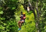 junglezipline_20100616_7209_ziplinejungle